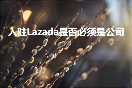 东莞企业网站推广 跨境电商知识:入驻Lazada是否必须是公司